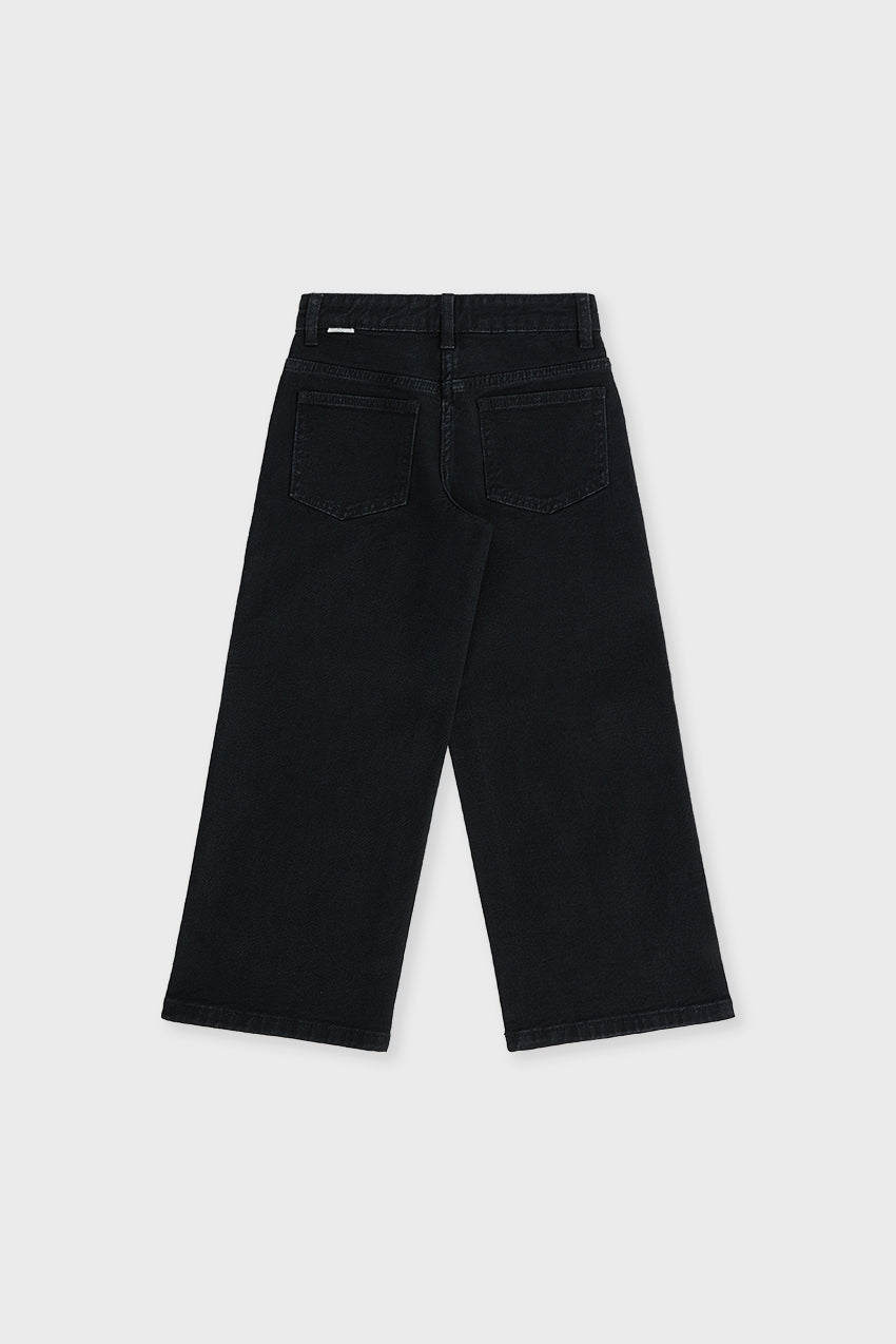 #color_black denim